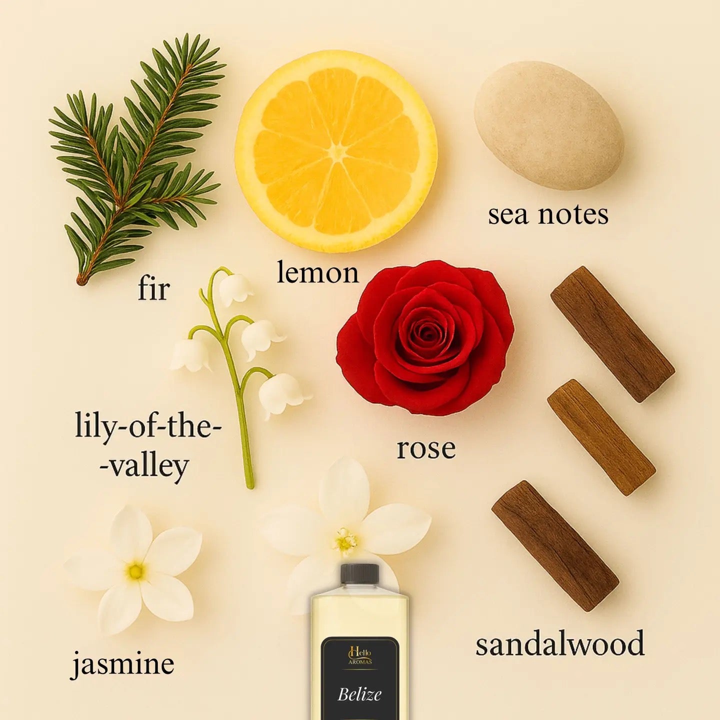 Belize fragrance oil ingredient list of fir, lemon, sea notes, lily-of-the-valley, rose, jasmine, and sandalwood