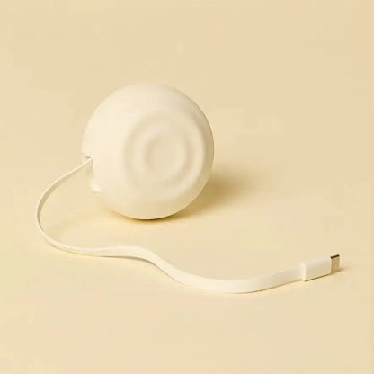 White, sleek, circular cable organizer with a smooth matte finish and an integrated usb-c connector.